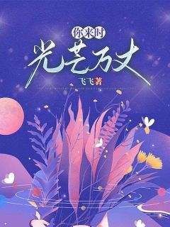 你来时，光芒万丈顾连州林翩月小说全文-你来时，光芒万丈小说