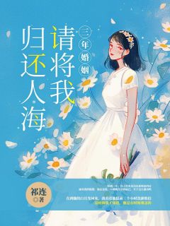 抖音完结《三年婚姻，请将我归还人海》之洛许之年(全文在线阅读)