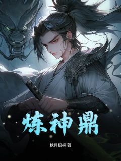 《炼神鼎》小说免费阅读 秦玄璇玑大结局完整版