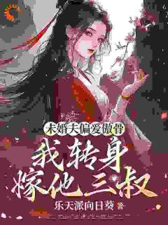 沈昭崔颢崔少卿主角的小说完结版《未婚夫偏爱傲骨，我转身嫁他三叔》全集