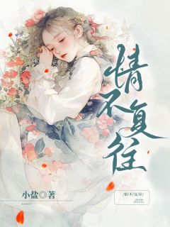 爆款小说由作者小盐所创作的情不复往在线阅读