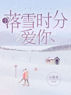 于落雪时分爱你