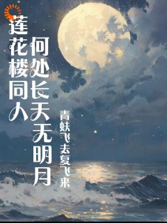 莲花楼同人之何处长天无明月