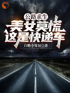 公路求生：美女莫慌，这是快递车