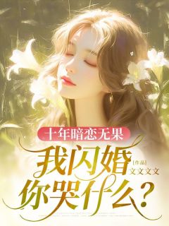 十年暗恋无果，我闪婚你哭什么？