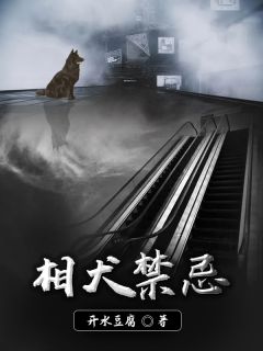 (爆款)牧天宝老猫大结局小说全章节阅读