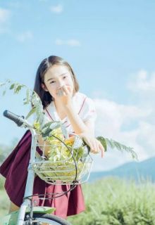 重生后，黎爷宠妻成瘾精彩小说-重生后，黎爷宠妻成瘾目录阅读