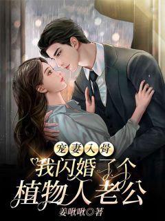 【热文】《宠妻入骨：我闪婚了个植物人老公》主角叶南星贺靳寒小说全集免费阅读