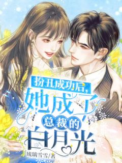 苏瓷傅南城主角的小说完结版《扮丑成功后，她成了总裁的白月光》全集