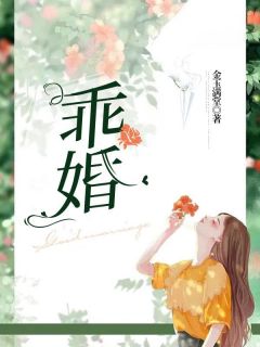 《乖婚》（温雅黎城冉）精彩小说目录阅读