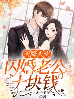 完整版《天降大奖：闪婚老公十块钱》顾安然沈御风小说免费在线阅读