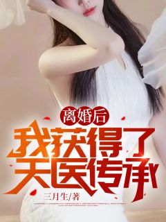 《离婚后：我获得了天医传承》精彩章节-离婚后：我获得了天医传承免费阅读全文