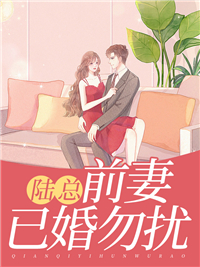 老书虫推荐《陆总，前妻已婚勿扰》 在线阅读