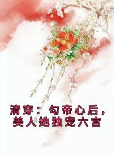 清穿：勾帝心后，美人她独宠六宫(何沅淇康熙)全文完整版阅读