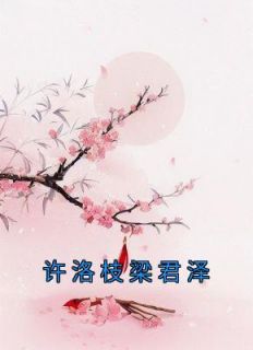 《许洛枝梁君泽》许洛枝梁君泽-小说未删减阅读