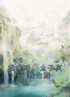 《成亲后，太子灭了我全族》（姜若水君莫邪凌雨烟）精彩小说目录阅读