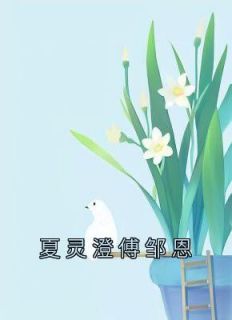 夏灵澄傅邹恩(夏灵澄傅邹恩)最新章节试读