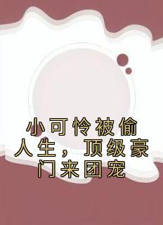 《小可怜被偷人生，顶级豪门来团宠》黎小鸭盛玉霄by青鹫免费看