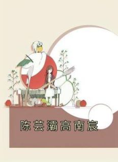 陈芸灞高南宸小说全文免费阅读陈芸灞高南宸全文免费阅读