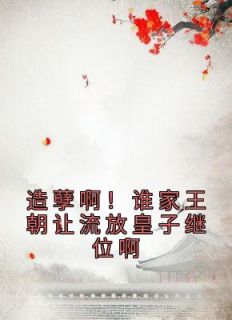 《造孽啊！谁家王朝让流放皇子继位啊》小说唐梓昱婉儿免费阅读