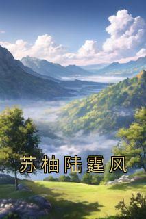 苏柚陆霆风小说(完结版)-苏柚陆霆风在线阅读