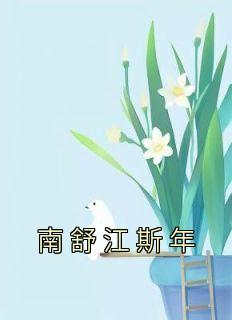 抖音南舒江斯年小说叫什么名字