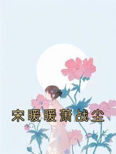 【宋暖暖萧战尘】主角(宋暖暖萧战尘)在线阅读