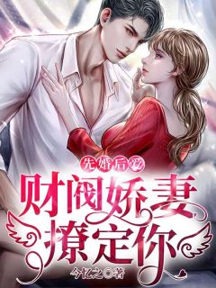 婚后诱哄：腹黑财阀宠妻上瘾