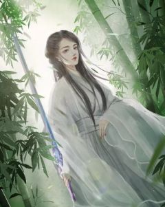 王朝帝婿