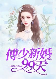 傅少新婚99天