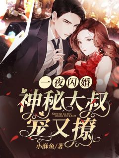 一夜闪婚：神秘大叔宠又撩