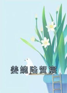 书荒必备《姜婉陆贺宸》全文章节阅读