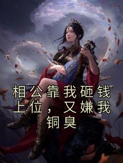 沈如意柳城开《相公靠我砸钱上位，又嫌我铜臭》全章节免费阅读