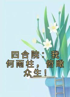 抖音小说《四合院：我何雨柱，俯瞰众生！》何雨柱易中海全文txt