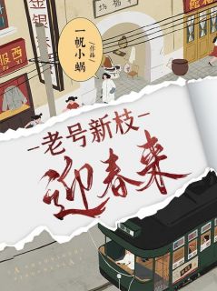 莫小雨陈文小说《老号新枝迎春来》全文阅读