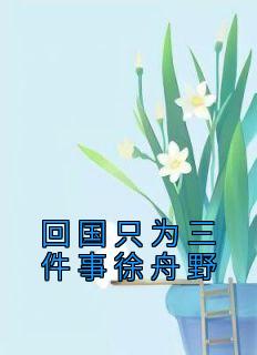 【热文】《回国只为三件事徐舟野》主角周茉徐舟野小说全集免费阅读