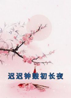 《迟迟钟鼓初长夜》最新章节免费阅读by佚名无广告小说