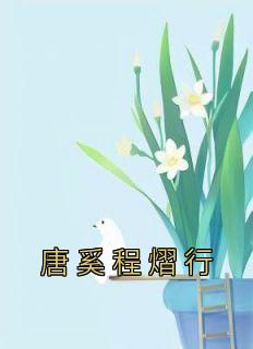 抖音爆款《唐奚程熠行》唐奚程熠行无广告阅读