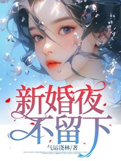 《新婚夜不留下》（苏芒叶方澈）精彩小说目录阅读