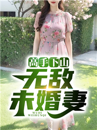 《高手下山：无敌未婚妻》陈宁沈慕青小说完整在线阅读