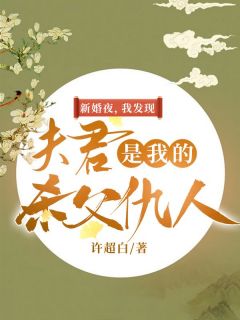 新上《新婚夜，我发现夫君是我的杀父仇人》许超白小说免费阅读