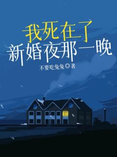 小说推荐《我死在了新婚夜那一晚》完结版全章节阅读