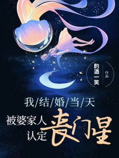 抖音小说《我结婚当天，被婆家认定为丧门星》主角林漾许幻山全文小说免费阅读