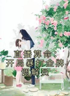 季初梁志专《直播算命：开局暴打金牌调解员》全章节免费阅读