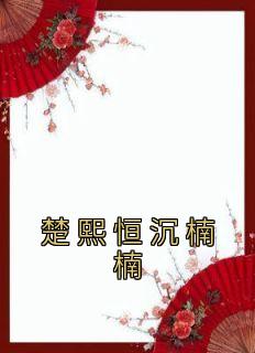 《楚熙恒沉楠楠》沉楠楠楚熙恒小说全文阅读