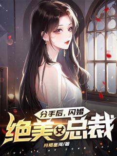 独家分手后，闪婚绝美女总裁小说-主角叶枫杨倩倩全文免费阅读