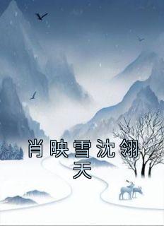 《肖映雪沈翎天》小说免费阅读 肖映雪沈翎天大结局完整版