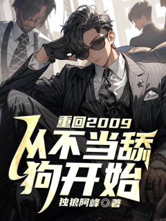 好书推荐《重回2009，从不当舔狗开始》宁峰沈依依全文在线阅读