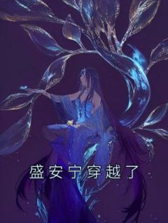 《盛安宁穿越了》小说全章节目录阅读BY桃三月完结版阅读