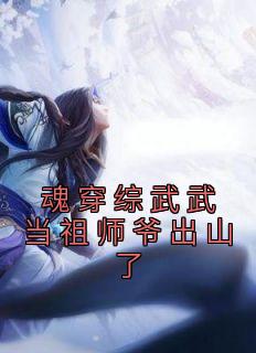 精品小说魂穿综武武当祖师爷出山了全文目录畅读